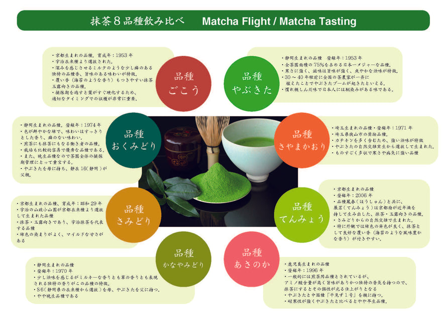 8_1_1200x630.jpg?v=1662536921