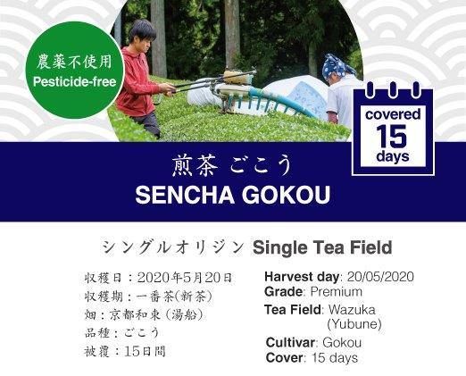 【定期便・送料無料】和束茶農家d:matchaと畑を巡る。毎日3杯分のお茶が毎月届く - d:matcha Kyoto