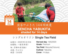 【2020年新茶】《14日間被覆》京都宇治和束産・煎茶やぶきた（湯船) ・40g袋入り - d:matcha Kyoto