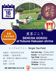 【2022年収穫】《農薬不使用栽培》京都宇治和束産・煎茶ごこう（湯船地区・16日被覆）・40g袋入り
