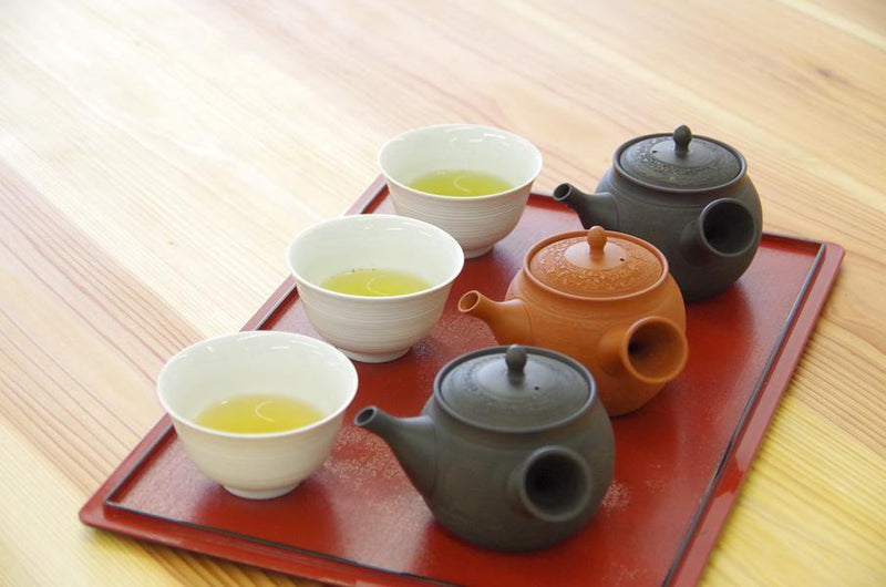 和束茶満喫ツアー（茶畑散策、茶摘み、茶工場見学、お茶ランチ、煎茶・抹茶3品種飲み比べ） - d:matcha Kyoto