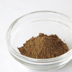 【業務用／お得用★製菓・ほうじ茶ラテに】ほうじ茶パウダー（100g）《京都宇治和束茶》