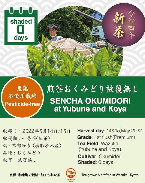 【2022/5/14収穫】京都宇治和束産・煎茶おくみどり（湯船地区）《被覆無し・農薬不使用栽培》・40g袋入り