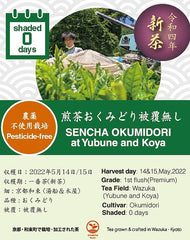 【2022/5/14収穫】京都宇治和束産・煎茶おくみどり（湯船地区）《被覆無し・農薬不使用栽培》・40g袋入り