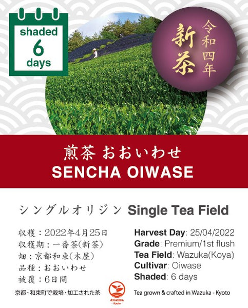 2022年新茶1号】4月25日収穫・煎茶おおいわせ（和束町木屋地区・6日間