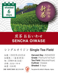 【2022年新茶1号】4月25日収穫・煎茶おおいわせ（和束町木屋地区・6日間被覆） ・30g袋入り