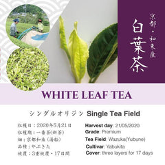 【2020年新茶】京都宇治和束産・白葉茶（17日間・3重被覆栽培）・40g袋入り - d:matcha Kyoto